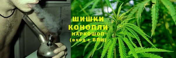 молекула духа Рославль