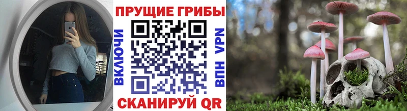 Галлюциногенные грибы мухоморы МЕГА tor Коммунар купить наркоту